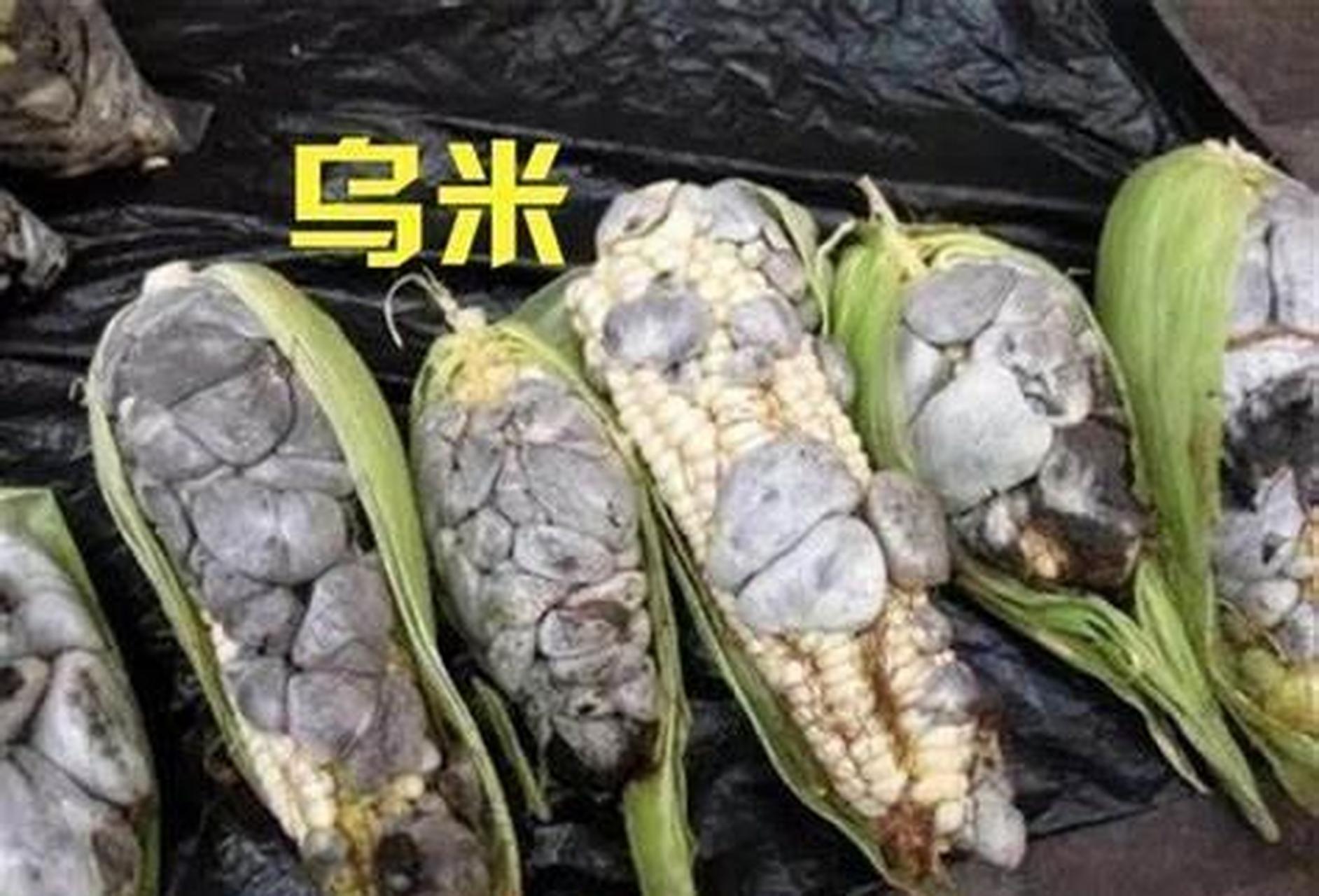[月亮]玉米乌米能吃吗?