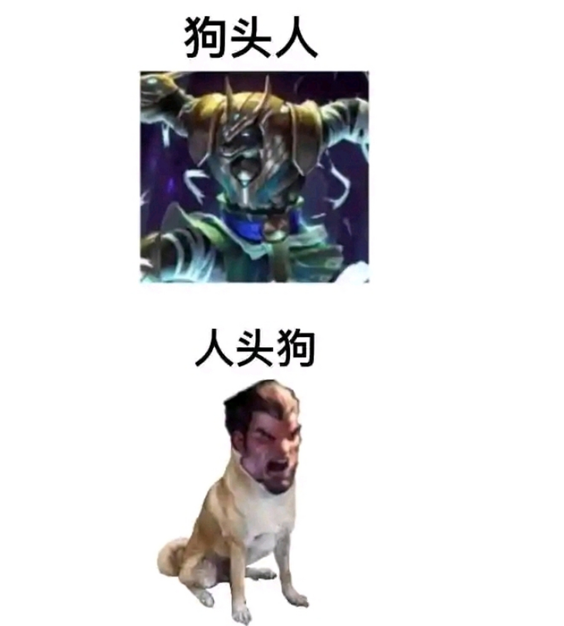 这是狗头人,人头狗,狗头狗头人,人头狗头人,看到最后,你还知道这是