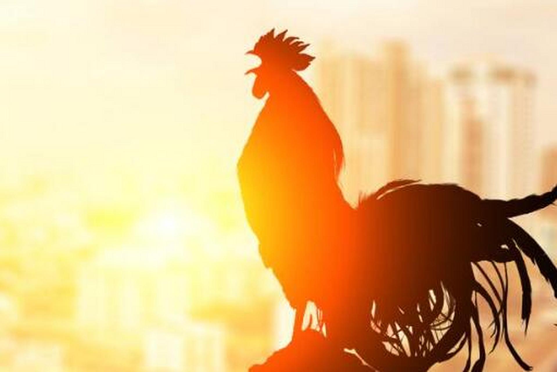 这个问题可不简单,甚至难倒了科学家.