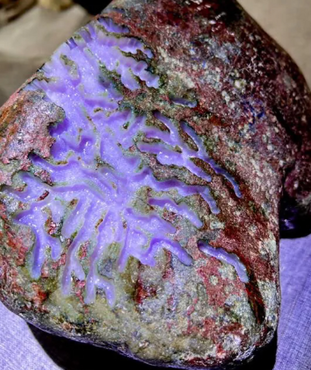 点击头像看直播##翡翠原石# 会卡红皮大块头开窗冰紫手镯料,品相规整