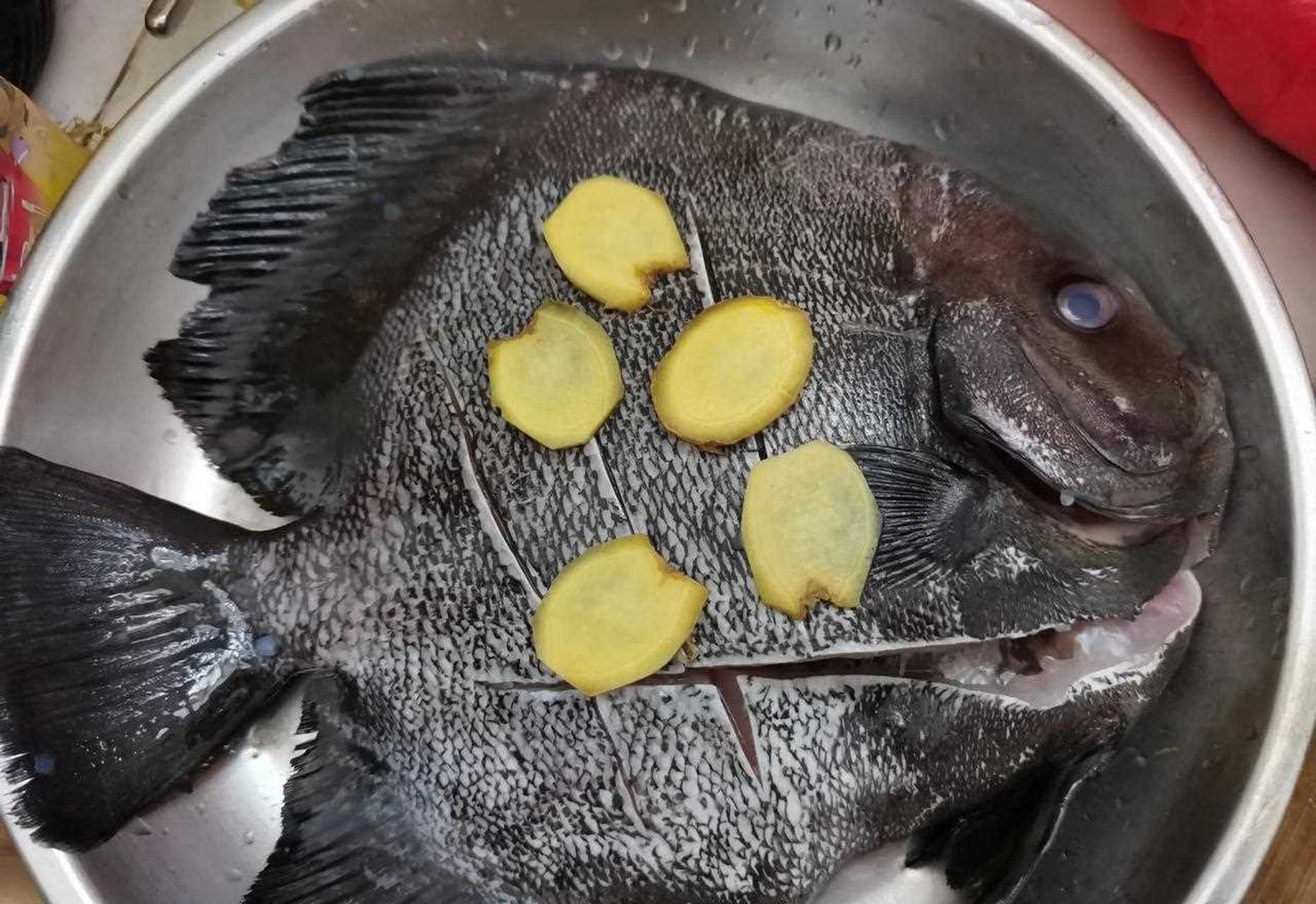 这种鱼还是第一次见到,周色黑色,不知为什么叫燕子鲳,看外形也不像