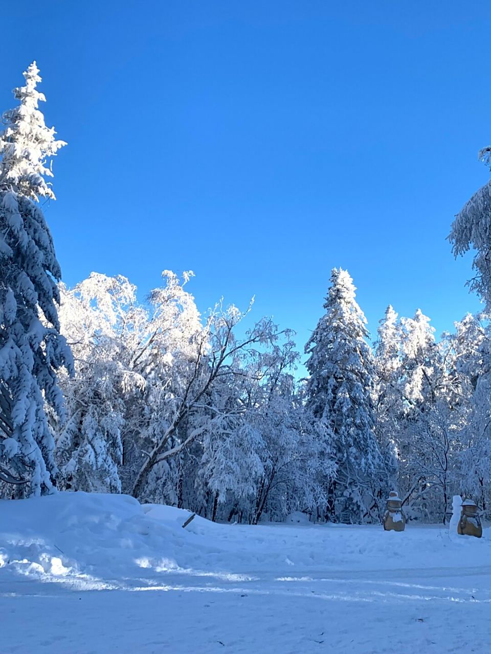 长白山雪岭,像童话电影里的冬天场景  冬日的长白山美丽得仿佛走进