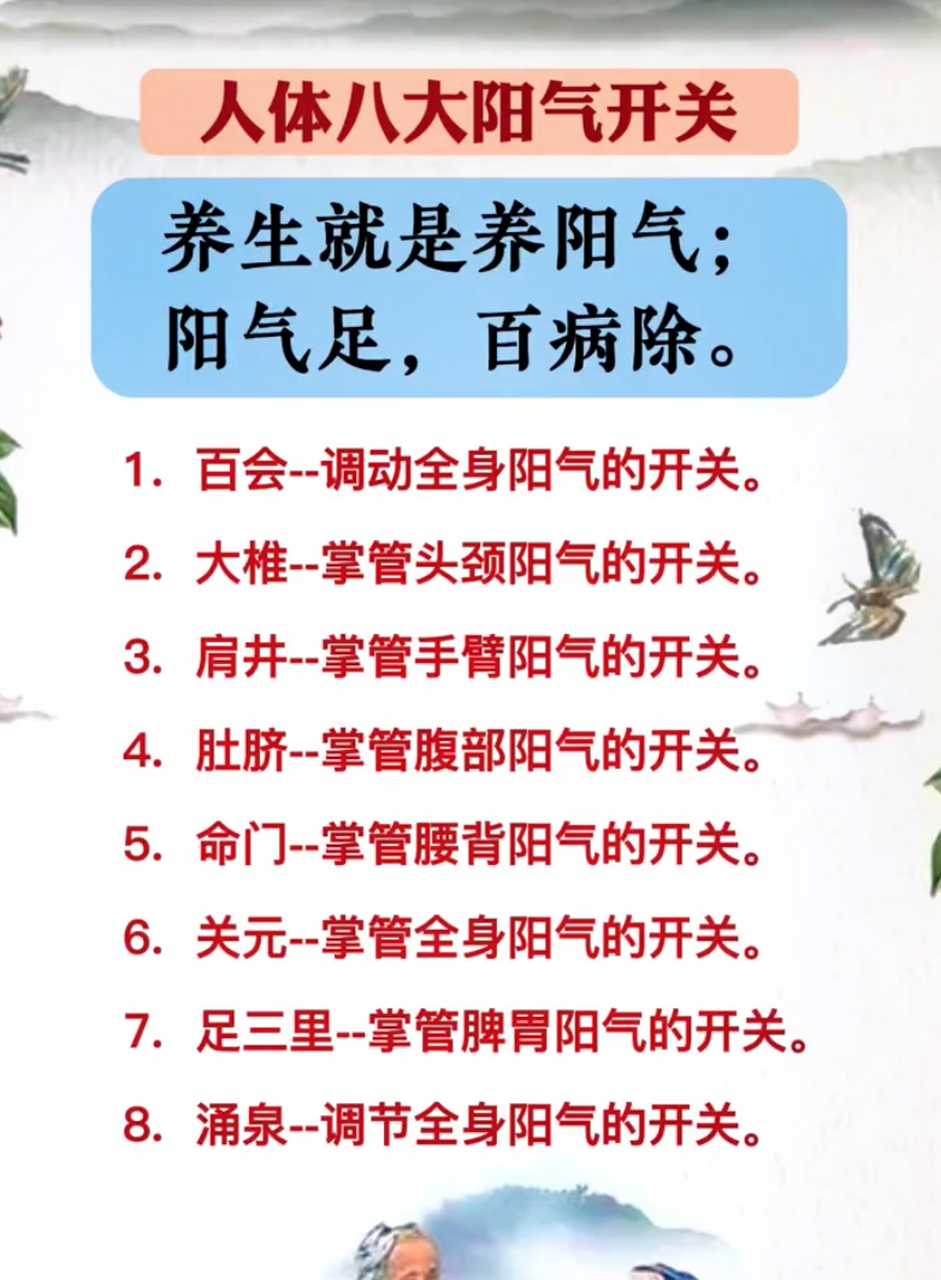 人體八大陽氣開關,養生就是養陽氣!陽氣足,百病除.