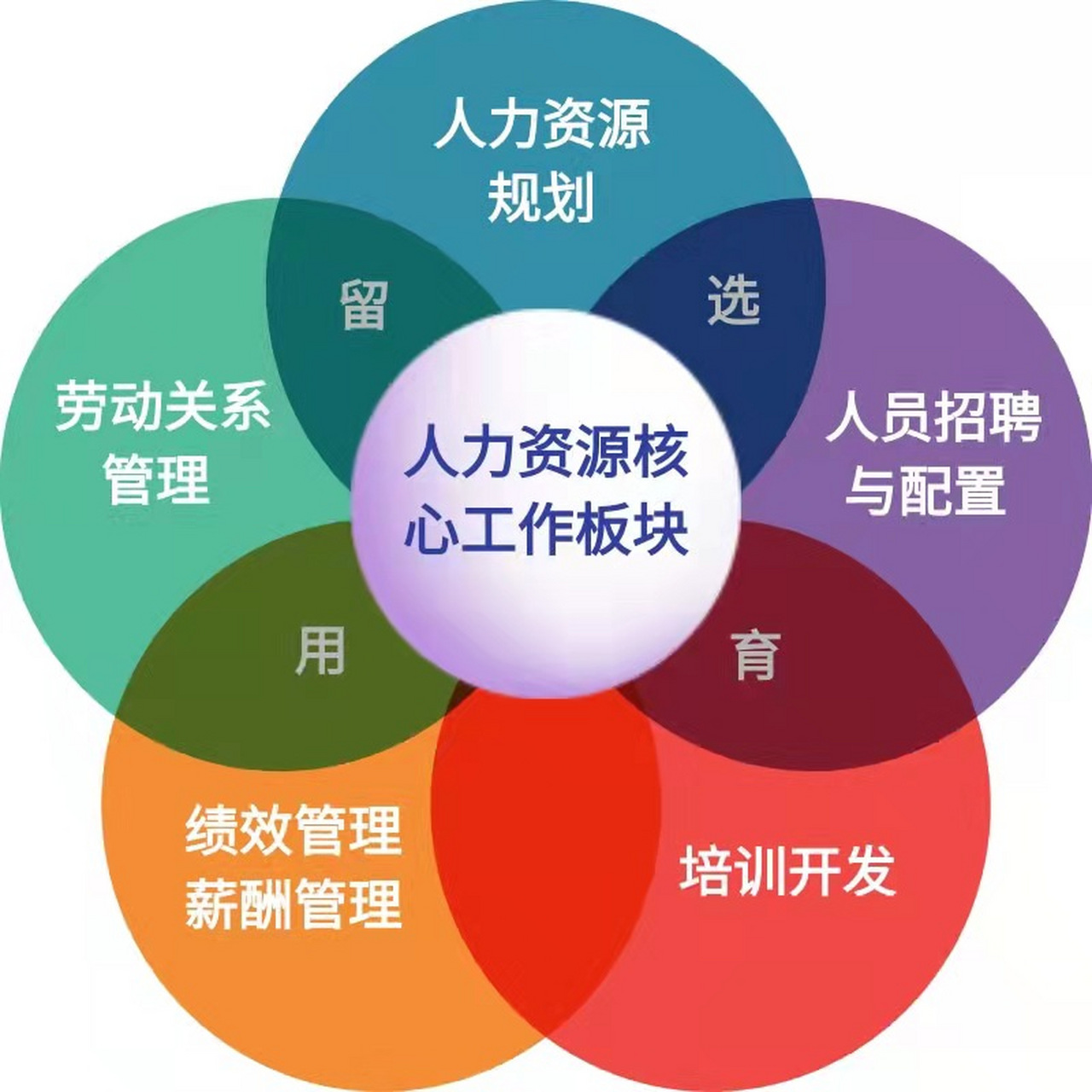人力资源开发在企业发展中的重要角色