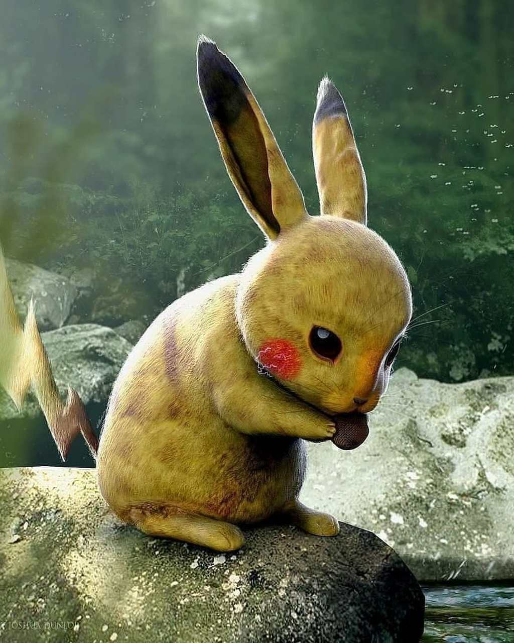 真·写实版宠物精灵,可可爱爱的皮卡丘竟然变成了灰不溜秋的土拨鼠的