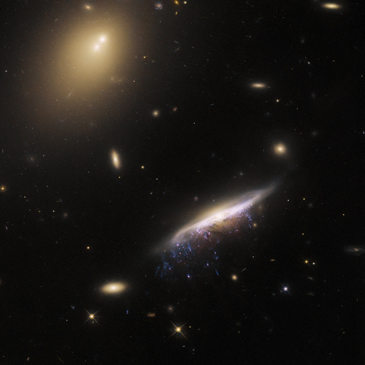 飞马座水母星系  欧空局公布一张哈勃望远镜第三代广域照相机(wfc3)