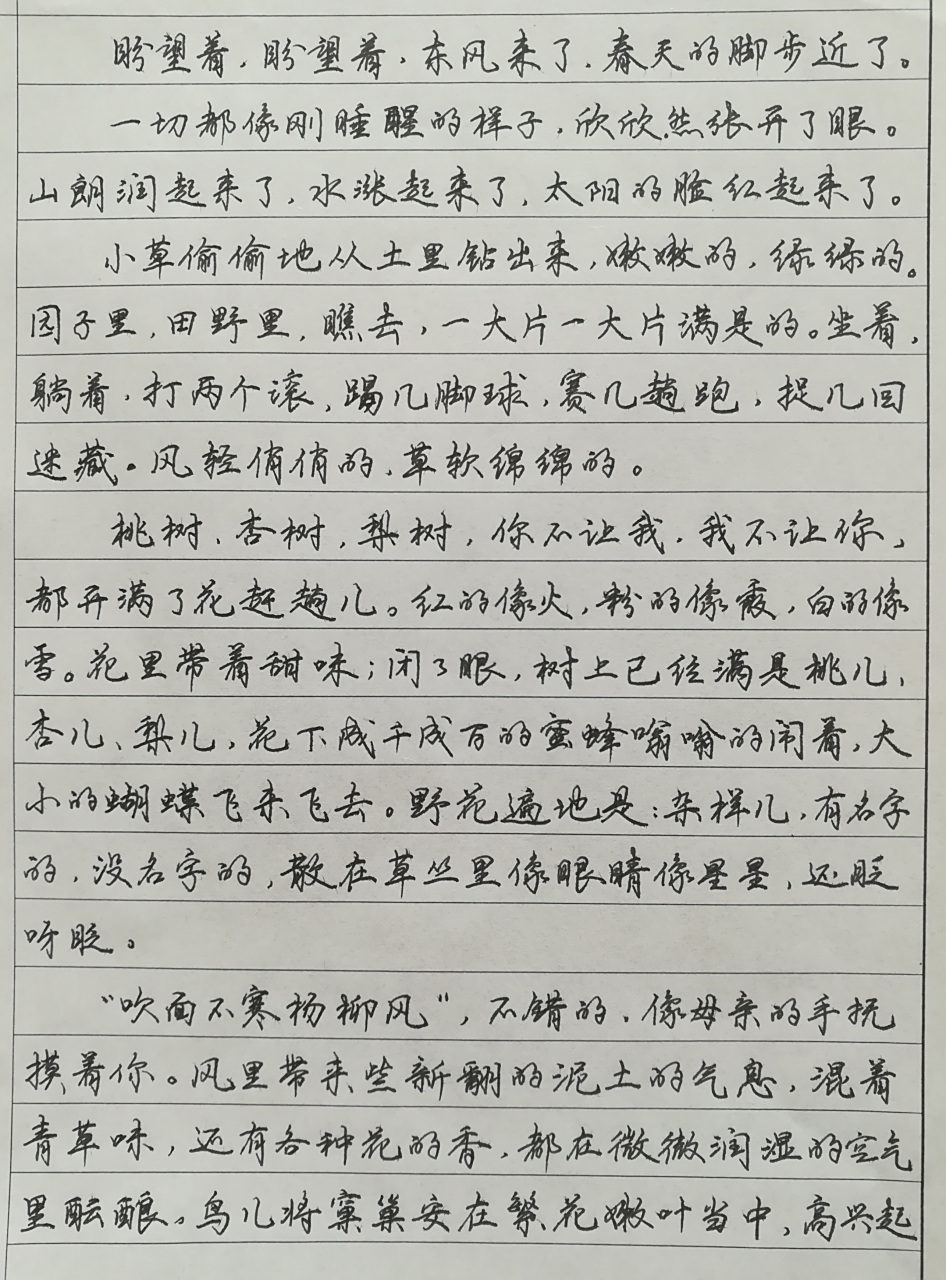 "盼望着,盼望着,东风来了,春天的脚步近了……"练字的可以选这篇文章