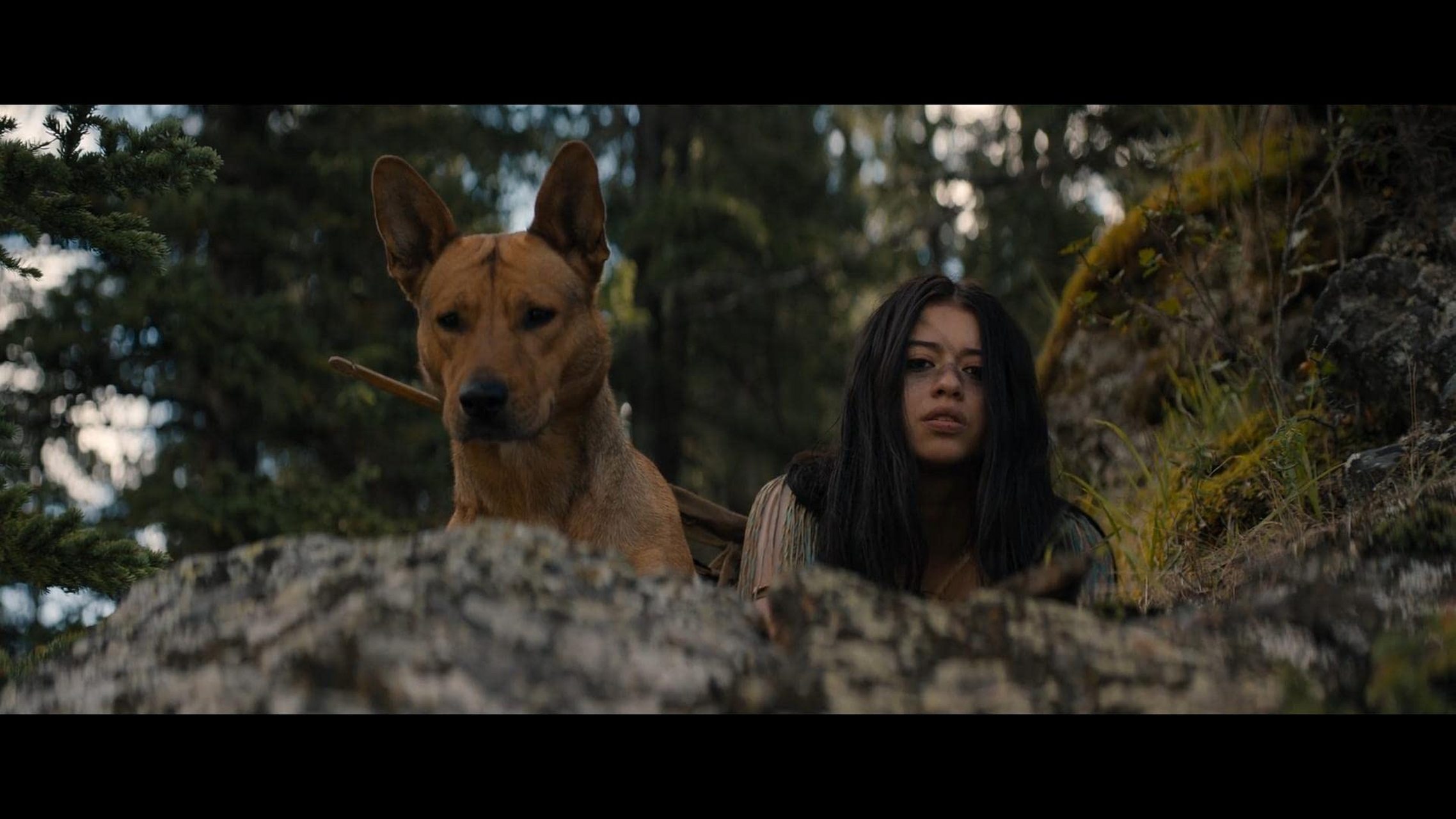 电影《猎物》讲述了故事发生在300年前的科曼奇民族,讲述了纳鲁的故事