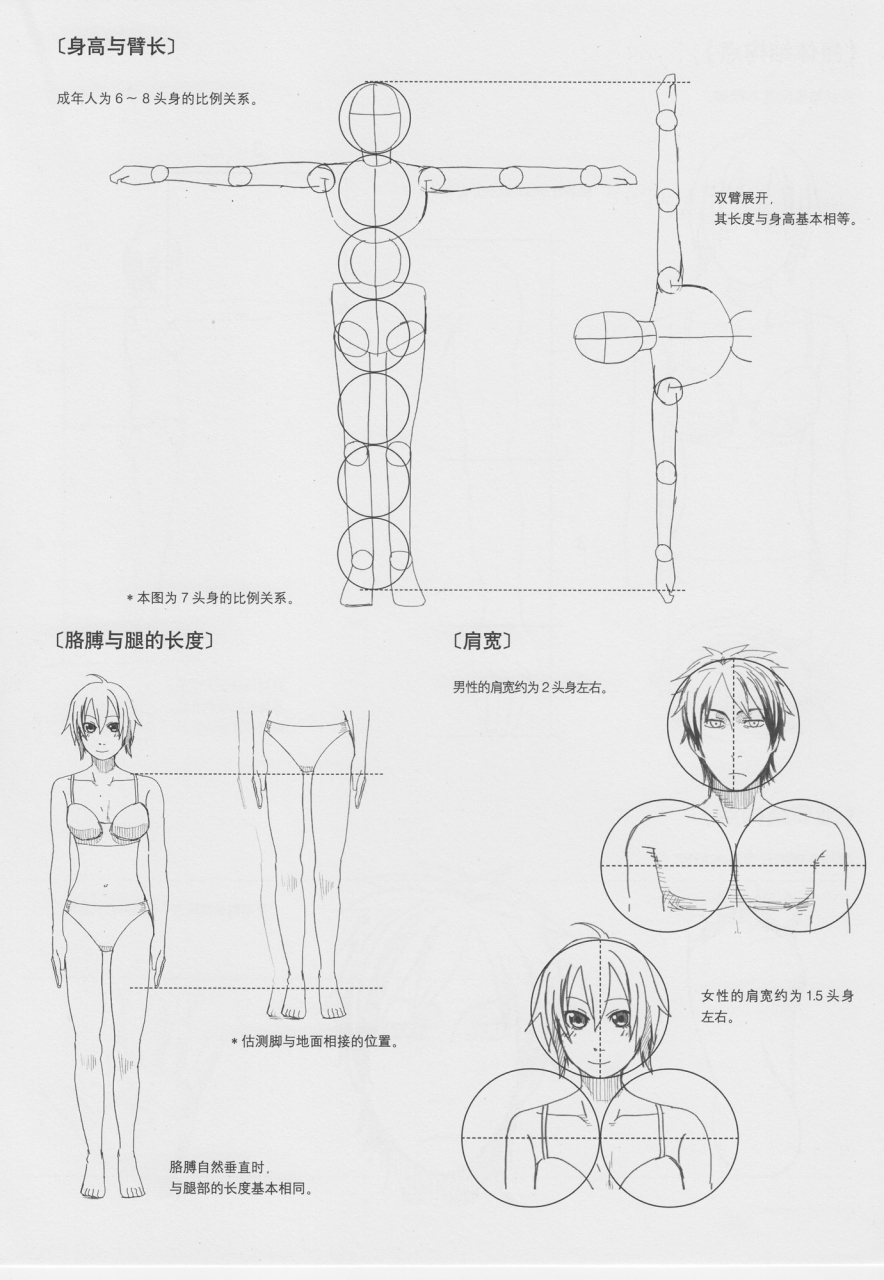 很多初学者在画动漫人物身体时造成视觉上会很别扭,那是因为没有注意
