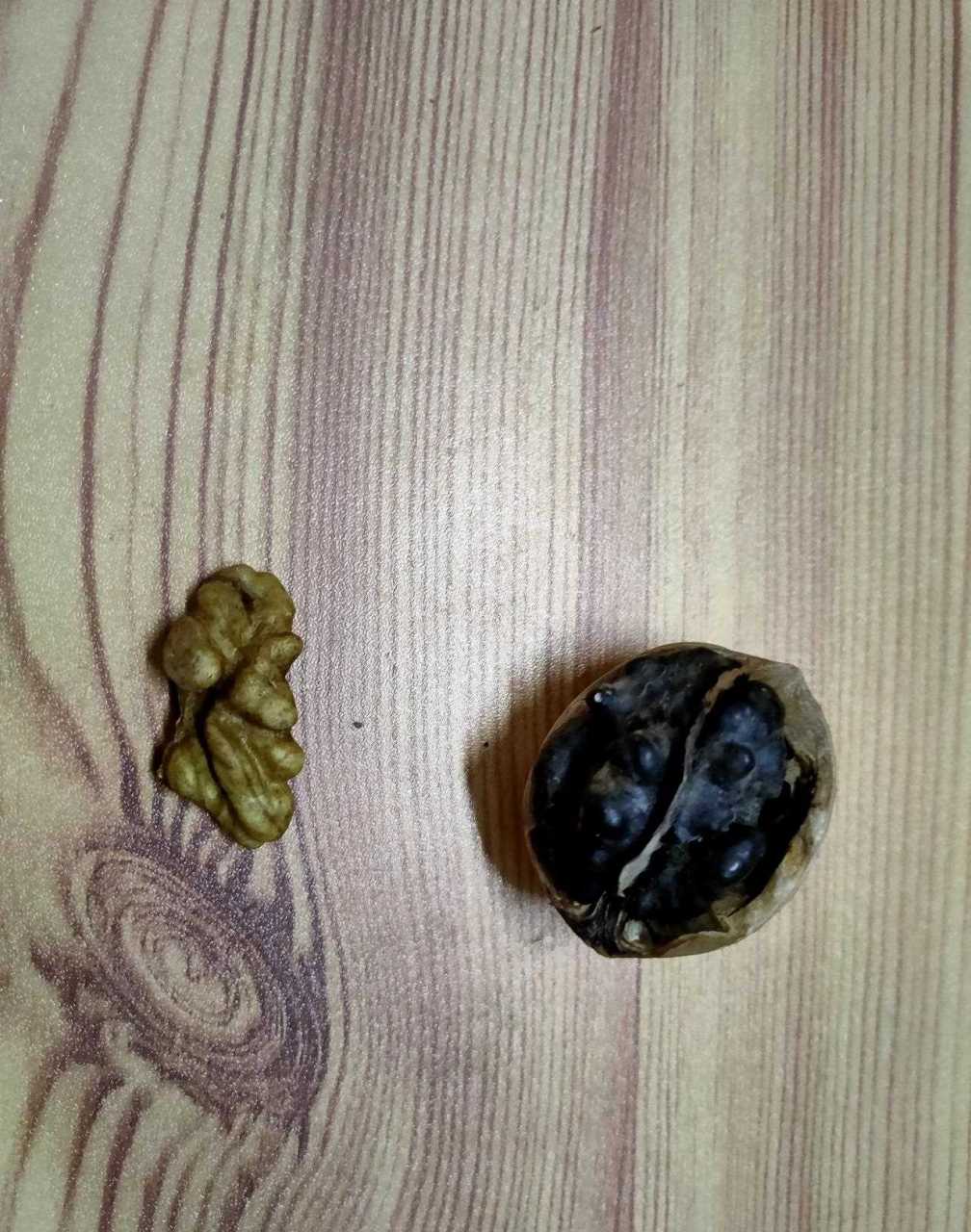 这核桃黑成这样又没有坏,是得了什么核桃病吗? [衰]