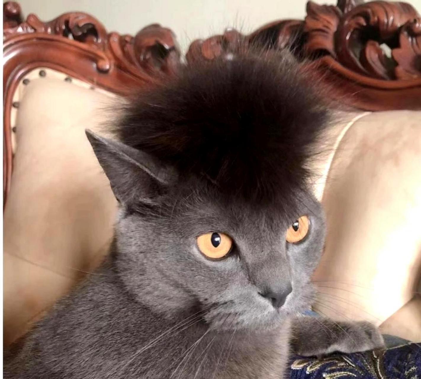 这个发型看起来像你男朋友刚剪的吗?