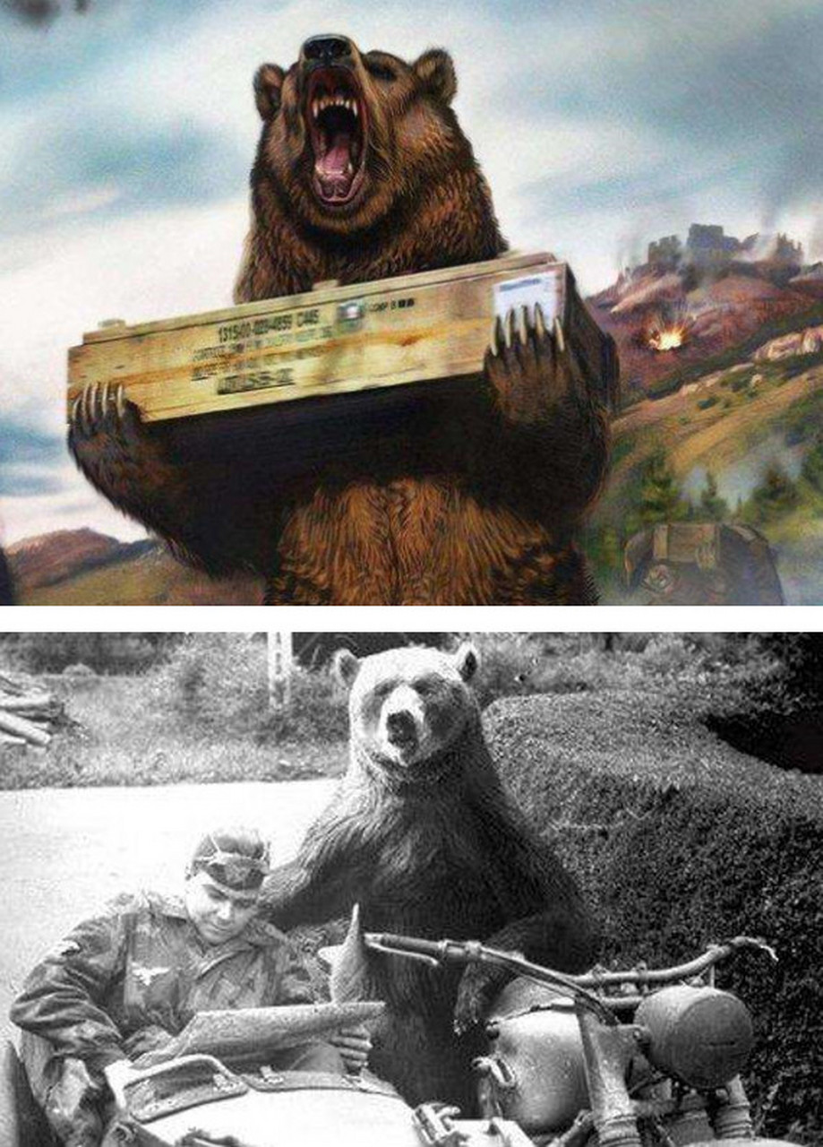 1944年意大利战场,力大无穷的沃铁负责给英国军队送弹药和补给,它是个