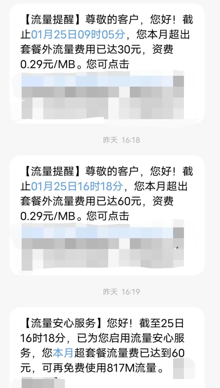 短信服务费30元