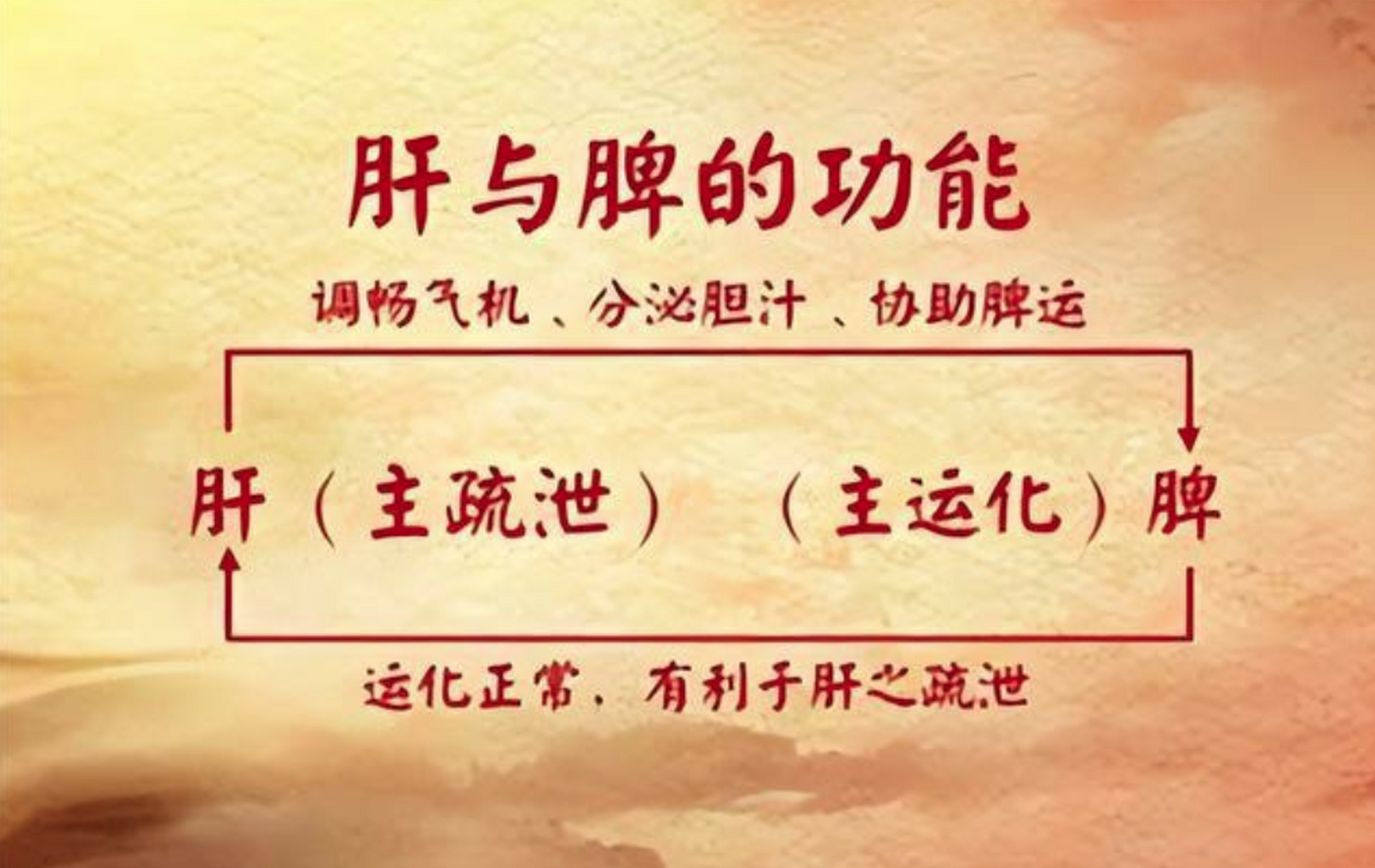肝郁脾虚的表现 1,性情急躁,情绪抑郁,情志焦虑 2,少腹胀痛,大便溏薄