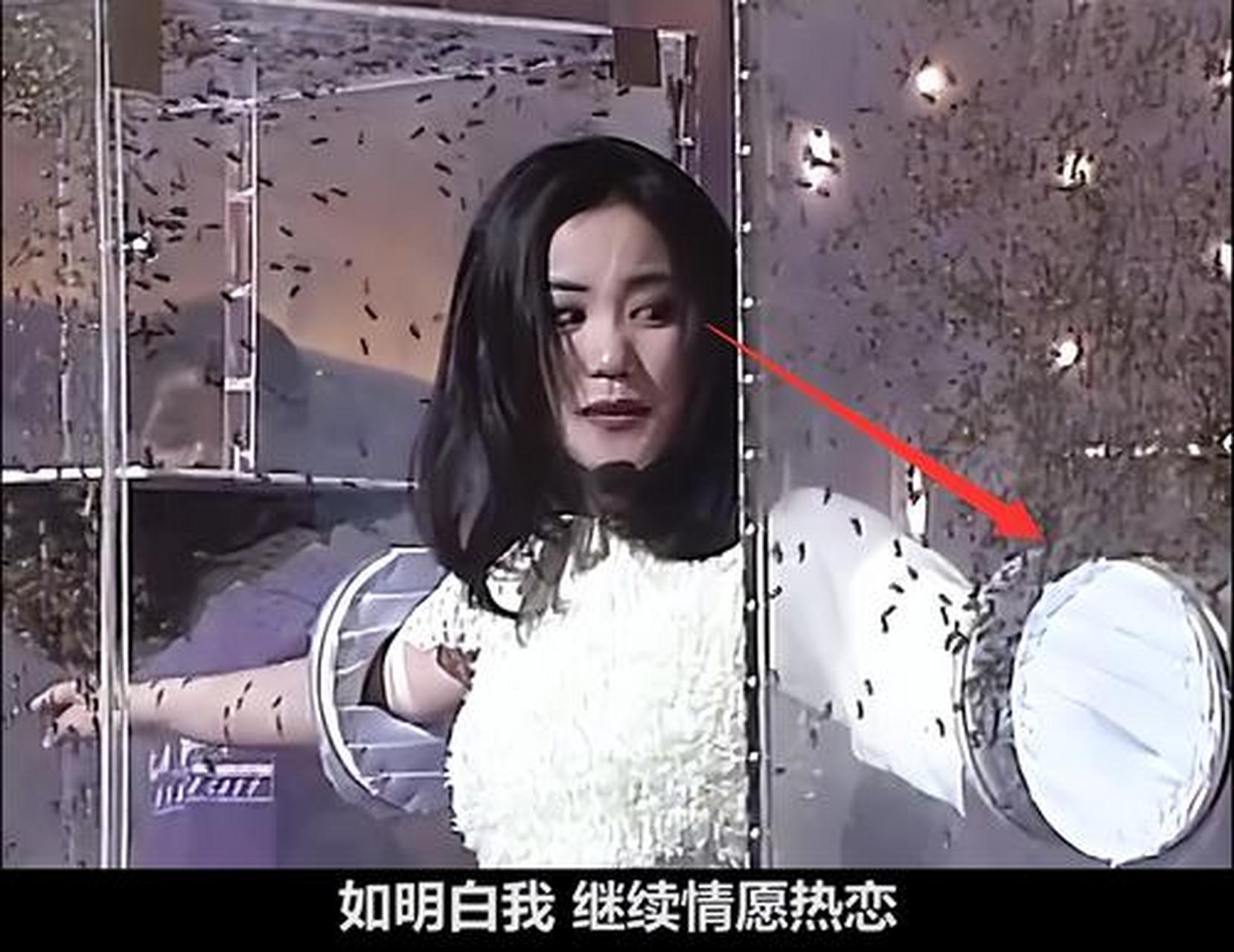 王菲唱走音了!早年双手伸蜜蜂箱唱歌,一脸惊恐唱错词还害羞