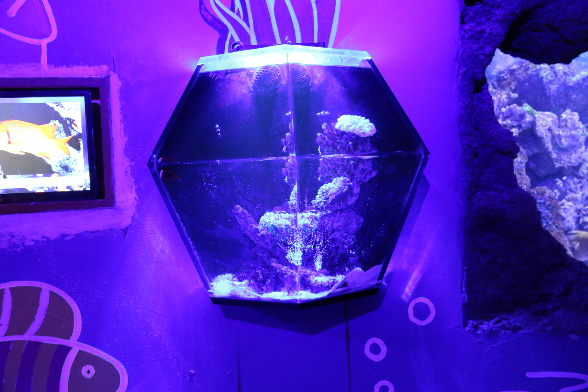 异形海洋馆亚克力鱼缸