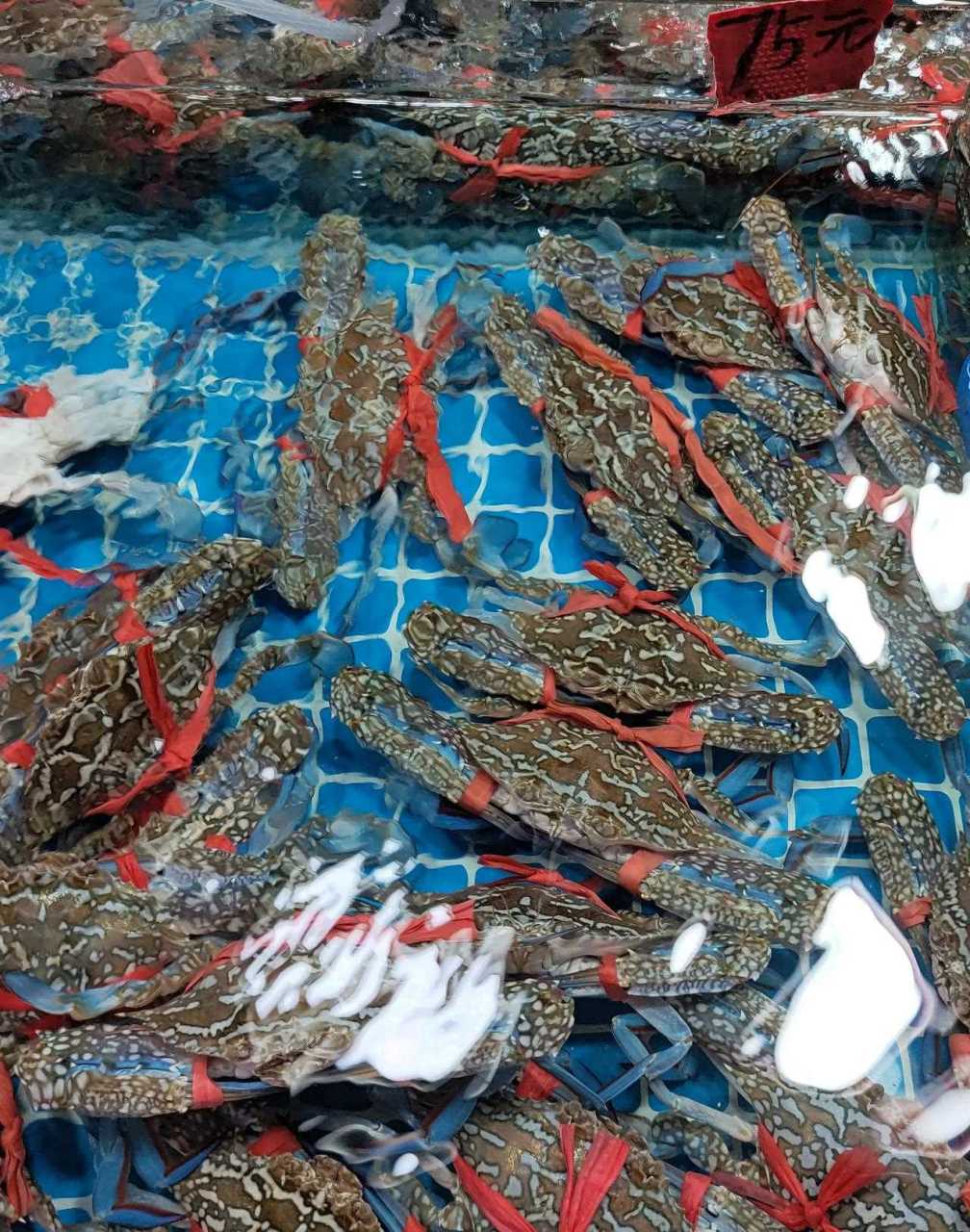 广州,休渔期供应最稳定的天然海鲜——蓝花蟹(远海梭子蟹),价格也比较