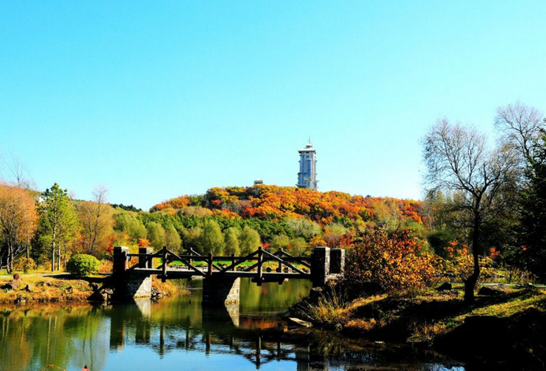 中国十大避暑城市:亲子游最佳选择   1,大连 大连作为临海城市,这里