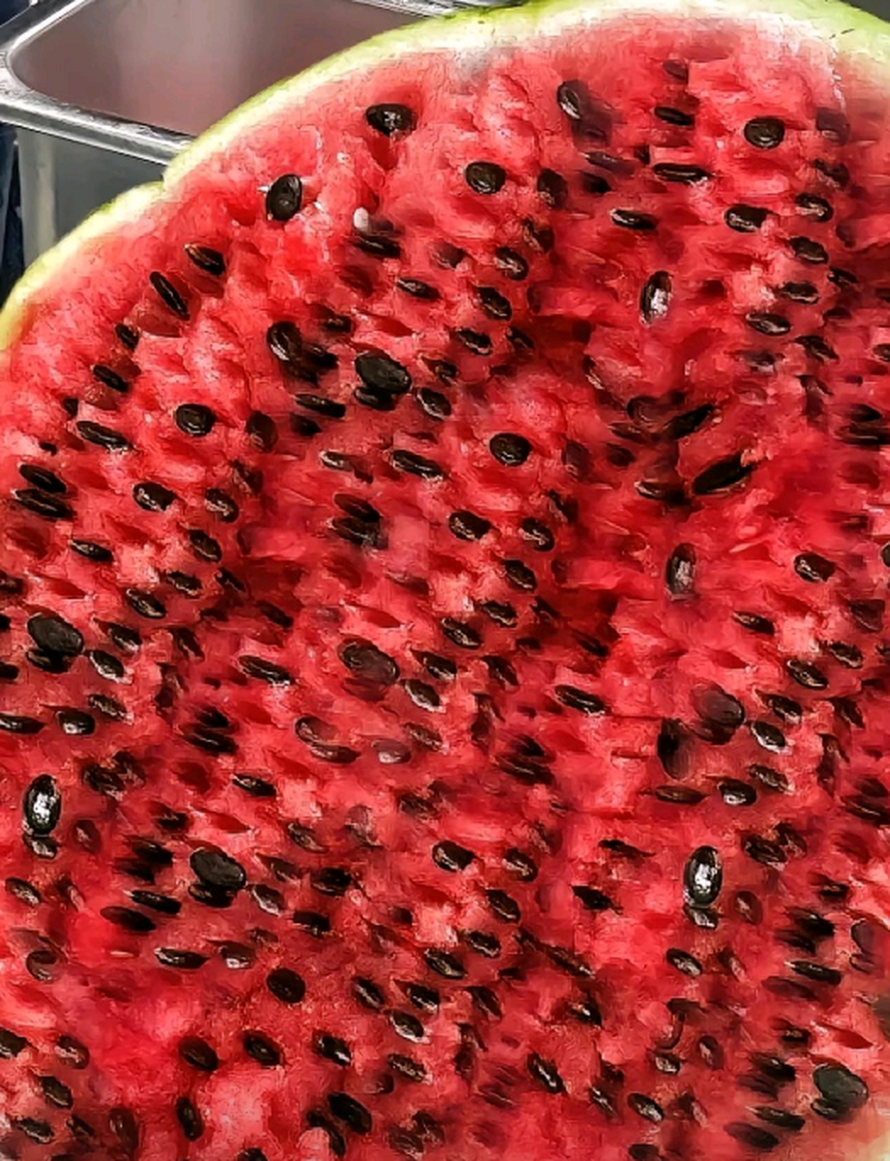 这个西瓜一打开,我就不想吃了,西瓜籽比西瓜瓤还多