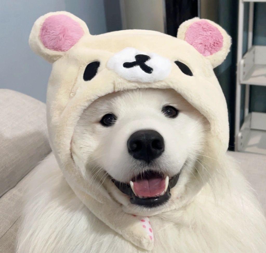 小熊头像(情侣版) 喜欢的宝宝们,自己取哦