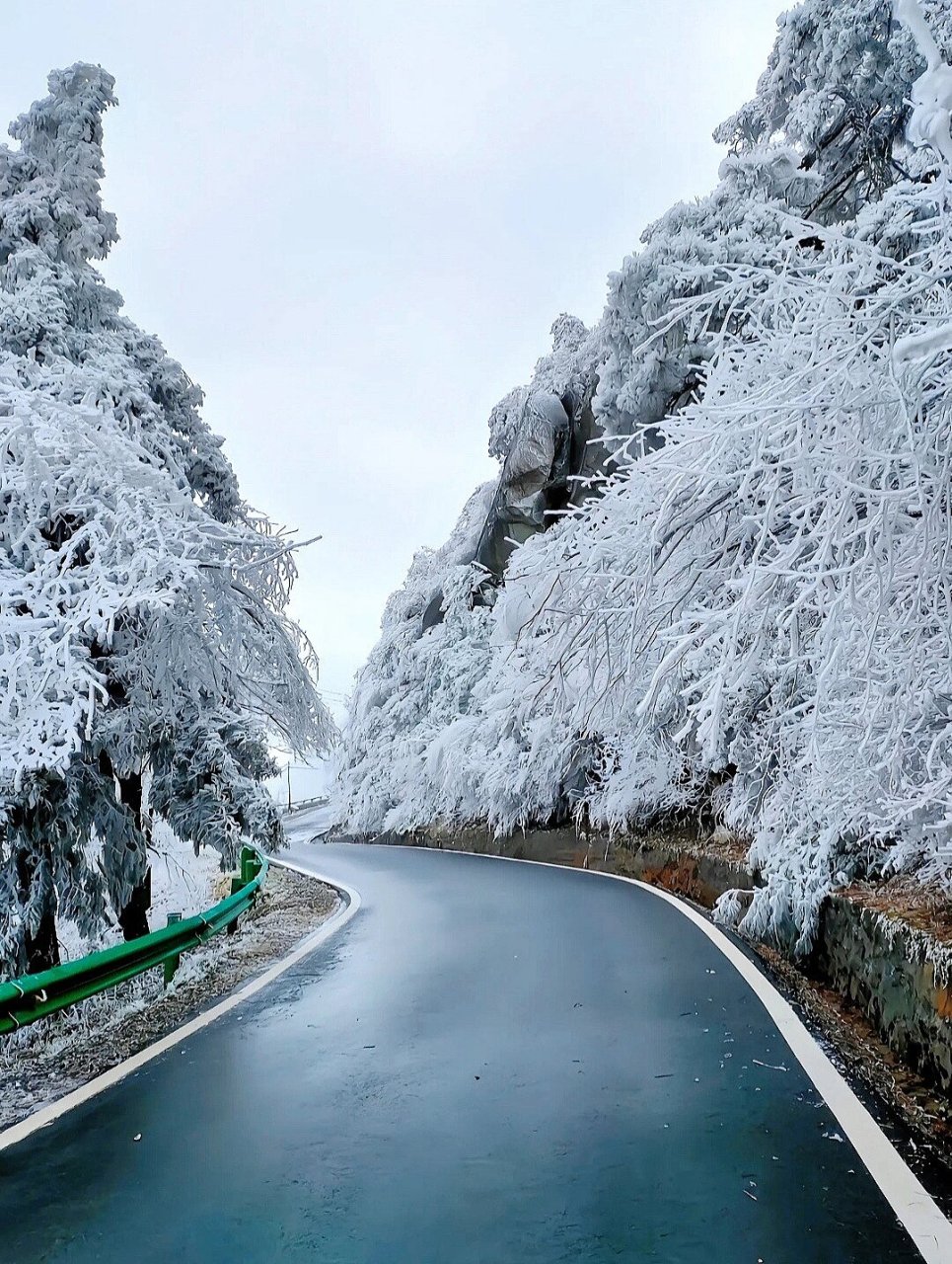 庐山看雪景图片