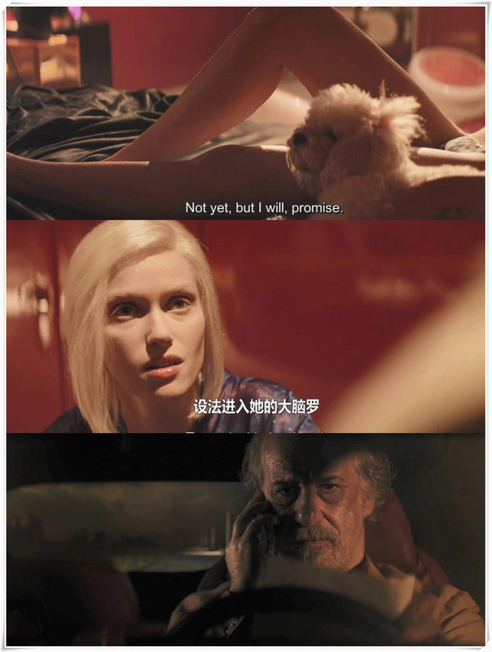 《迷宫中的人》是一部意大利犯罪,剧情和恐怖电影.