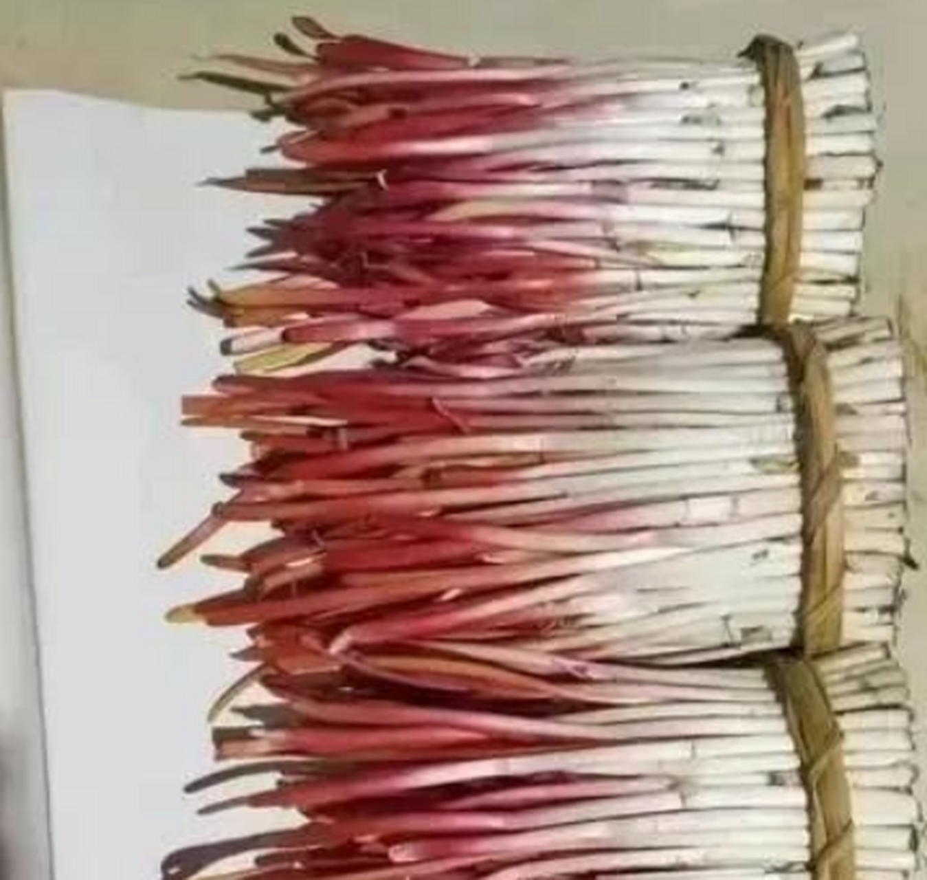 这咋还有红色的韭菜呢?