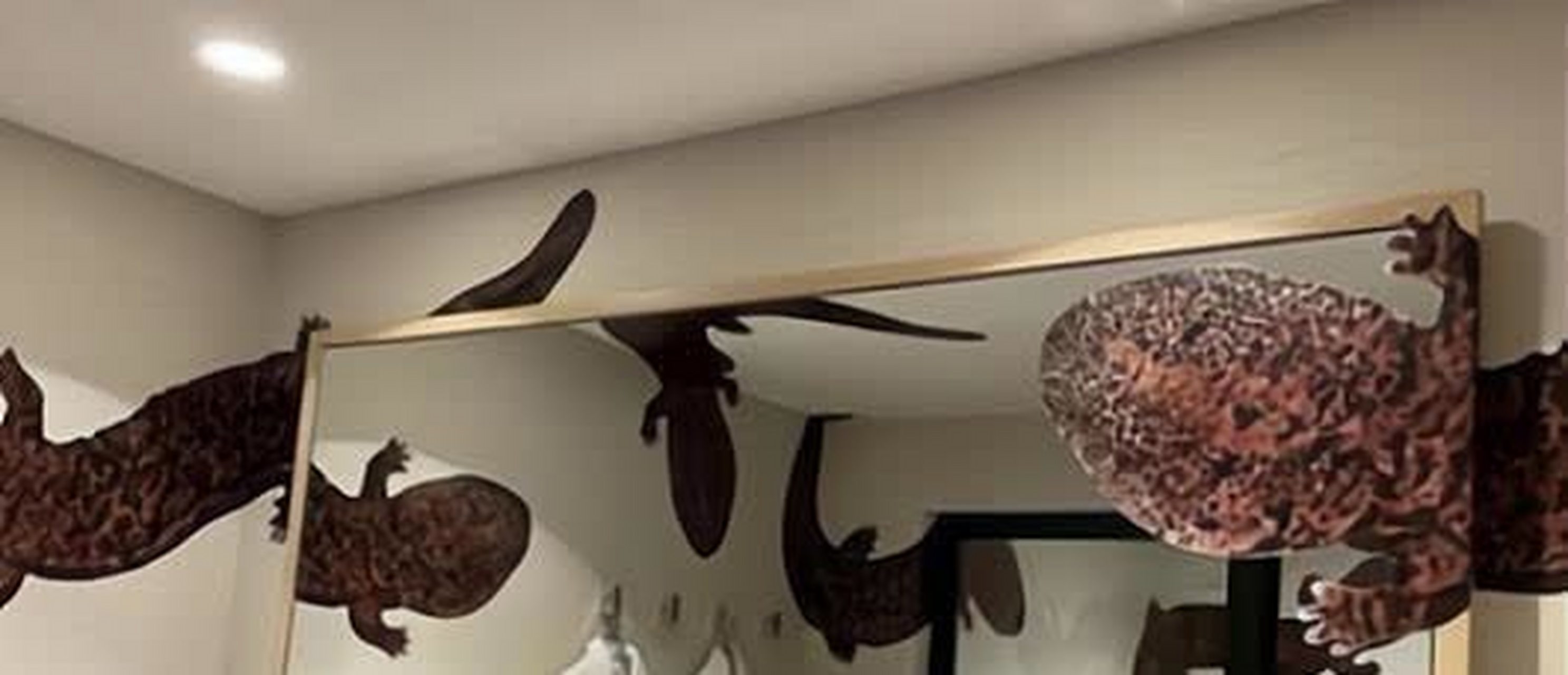 体验动物主题酒店[偷笑]