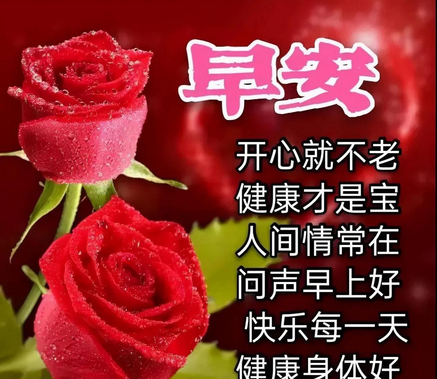 [玫瑰][玫瑰] 心中的挚友,一声问候,有情.有意.有我的祝福!