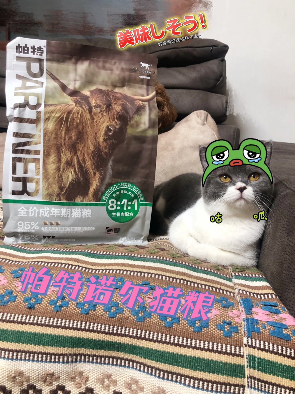 强烈推荐帕特诺尔生命成猫粮 哈哈哈,这款陈伟霆代言的猫粮大家一定要