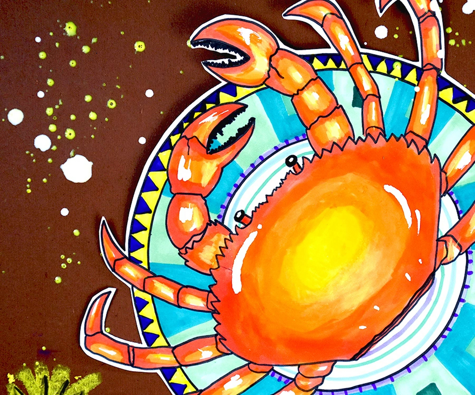 观察大闸蟹的实物或图片素材,用线条概括出大闸蟹的外形与结构特点,并