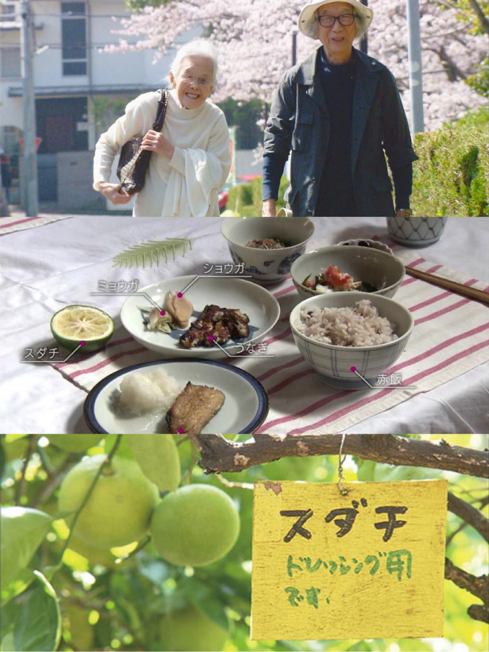 1《人生果实》豆瓣95 这部纪录片主要讲的是87岁奶奶与90岁爷爷退休后