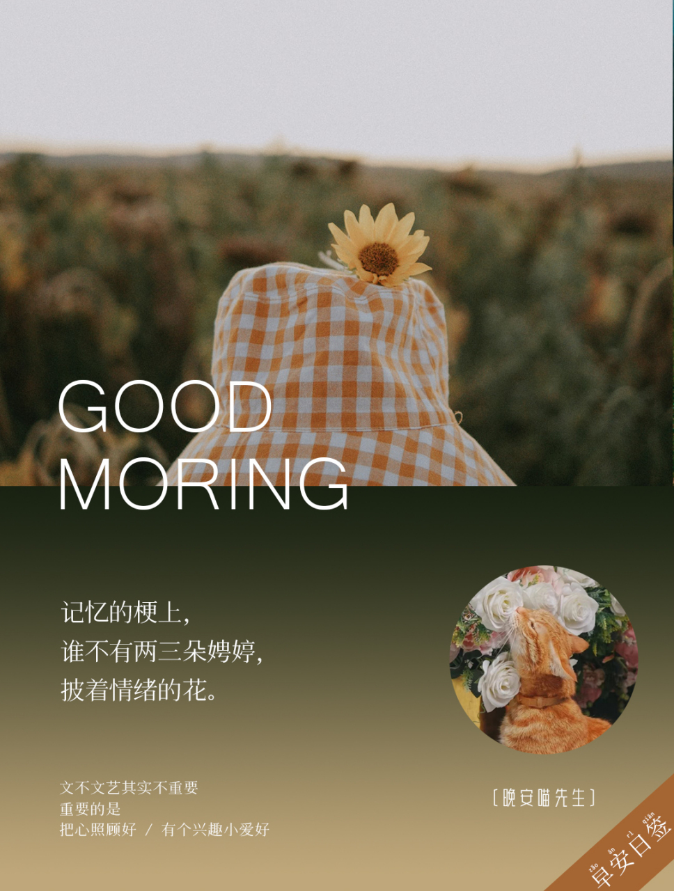 记忆的梗上,谁不有两三朵娉婷,披着情绪的花.