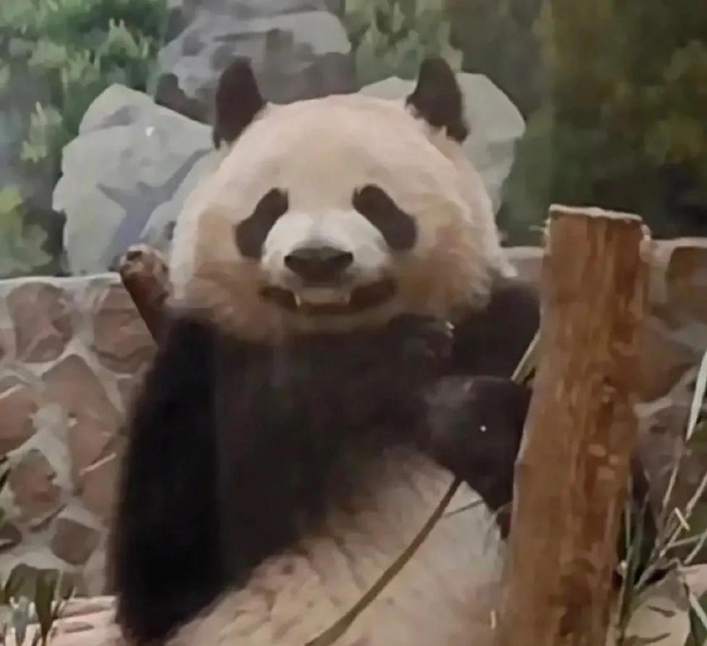 我什么时候看到这几张图才能不笑啊  分别是:1润玥塞牙 2 因为抢不到