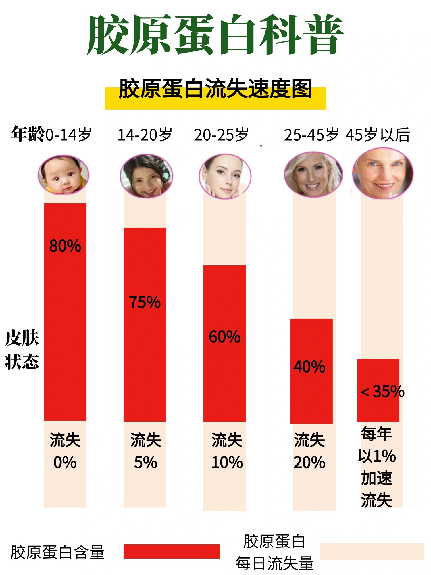 研究表明从25岁开始人的胶原蛋白以胶原蛋白流失年龄图胶原蛋白不