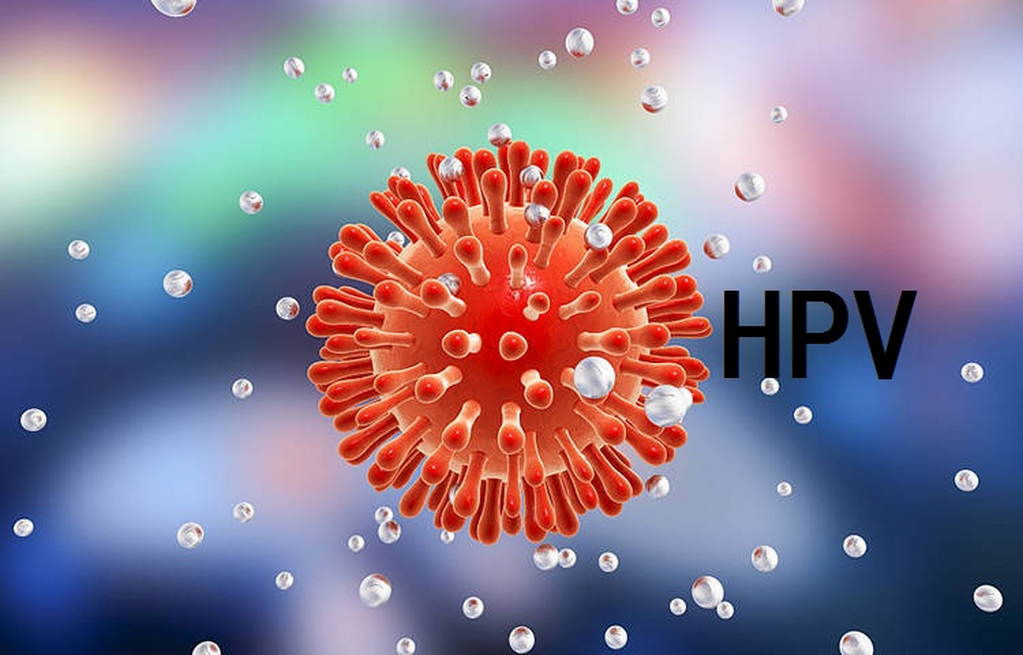 hpv照片病毒图片
