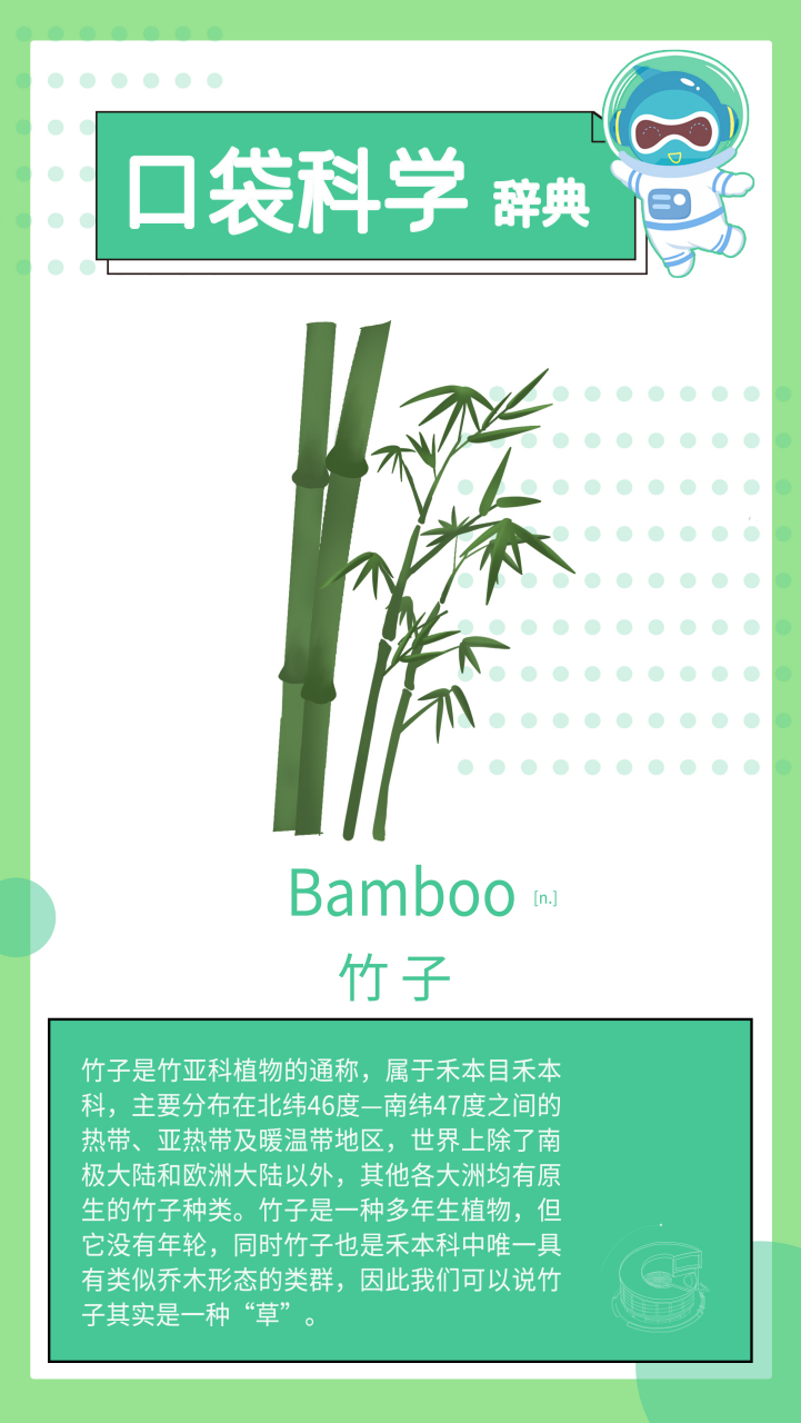 竹子用英语怎么说?#北京科学中心# #口袋科学辞典