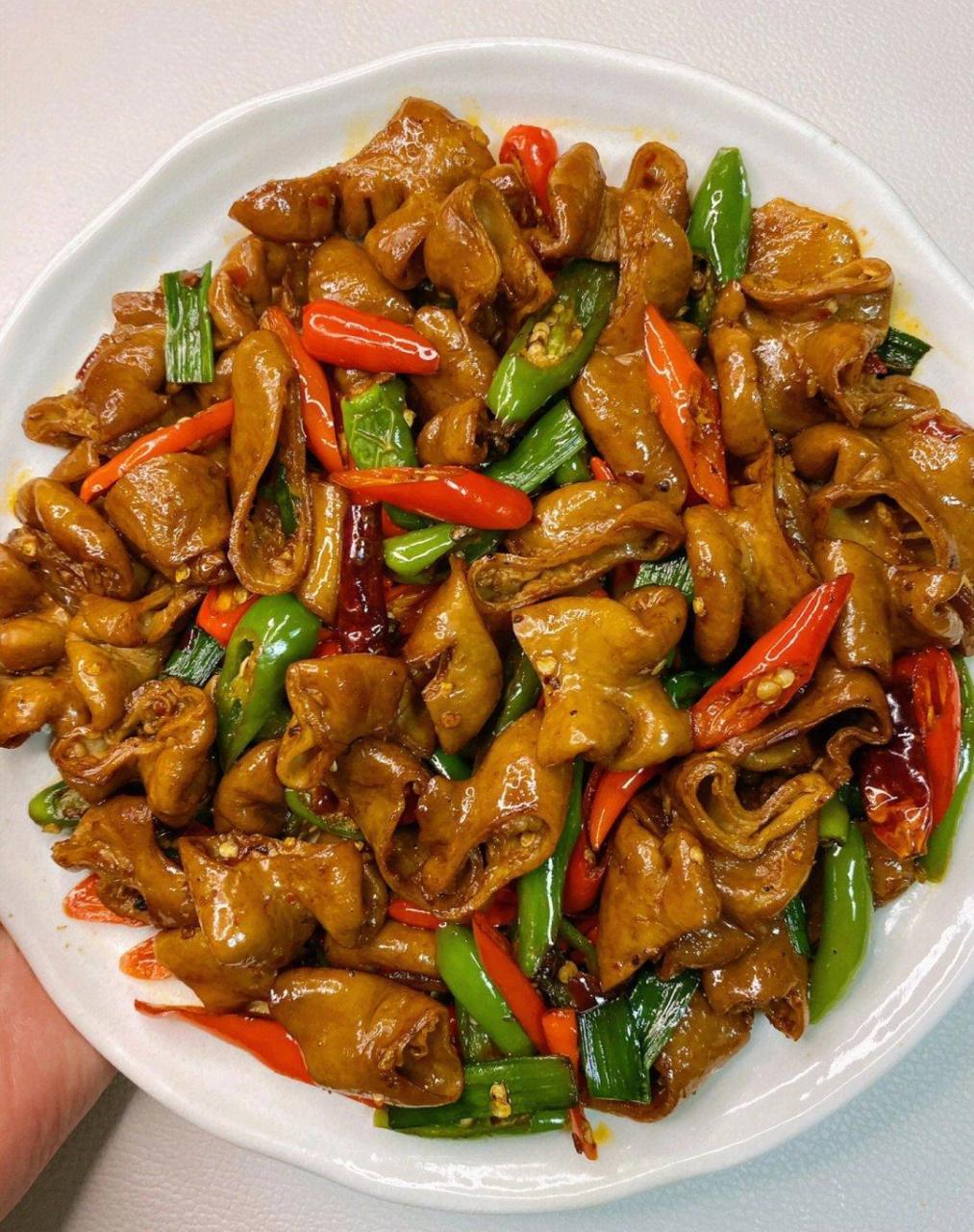 爆炒肥肠香辣过瘾有嚼劲超级下饭|||爱吃肥肠的宝子们一定要试试哦!