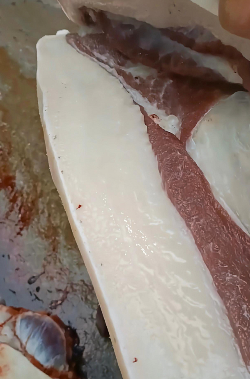 还得是自家养的猪,肥肉都像白玉一样