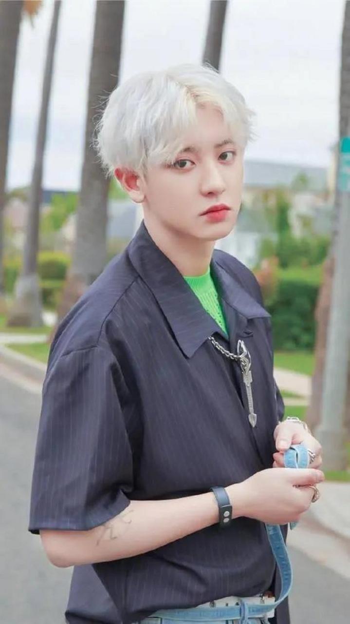 韩国热门男团exo之朴灿烈(chanyeol)