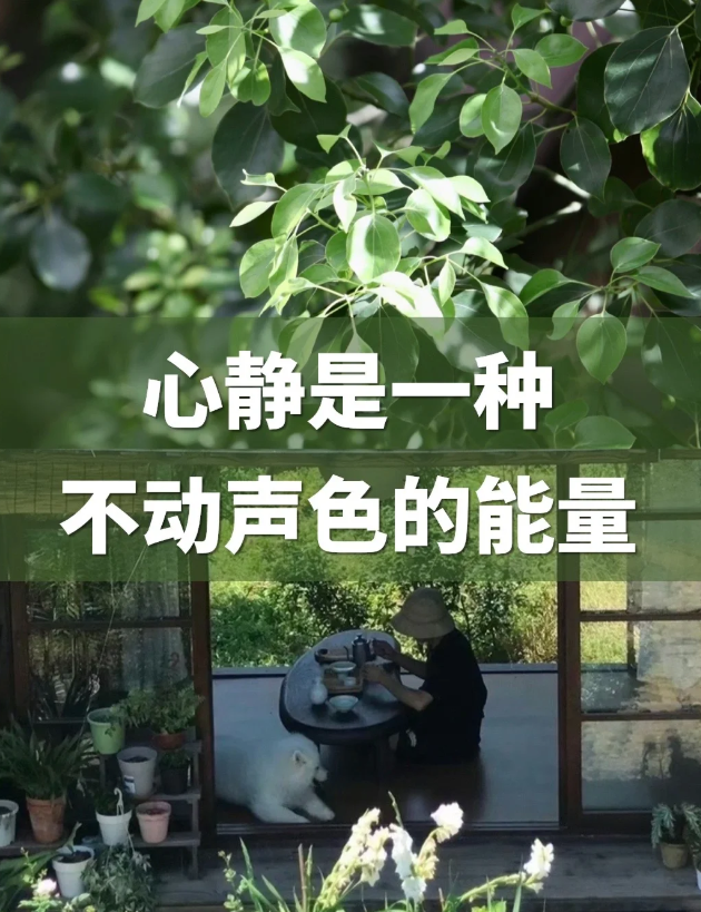 平静心灵,享受无尽幸福 静是智慧的源泉,古人说:"能定能生静,静能生慧