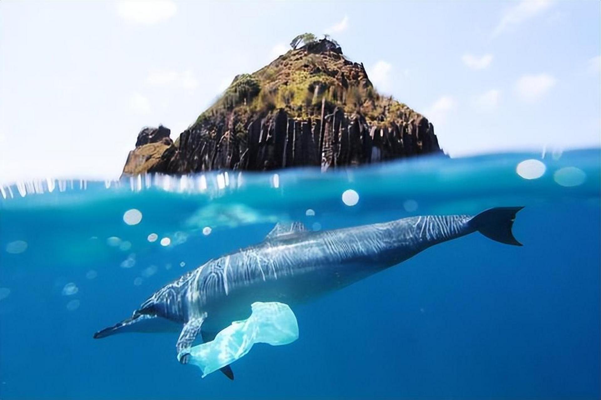 真是怪事!韩国连续5天举办5场宣讲会,强调福岛水安全可喝.