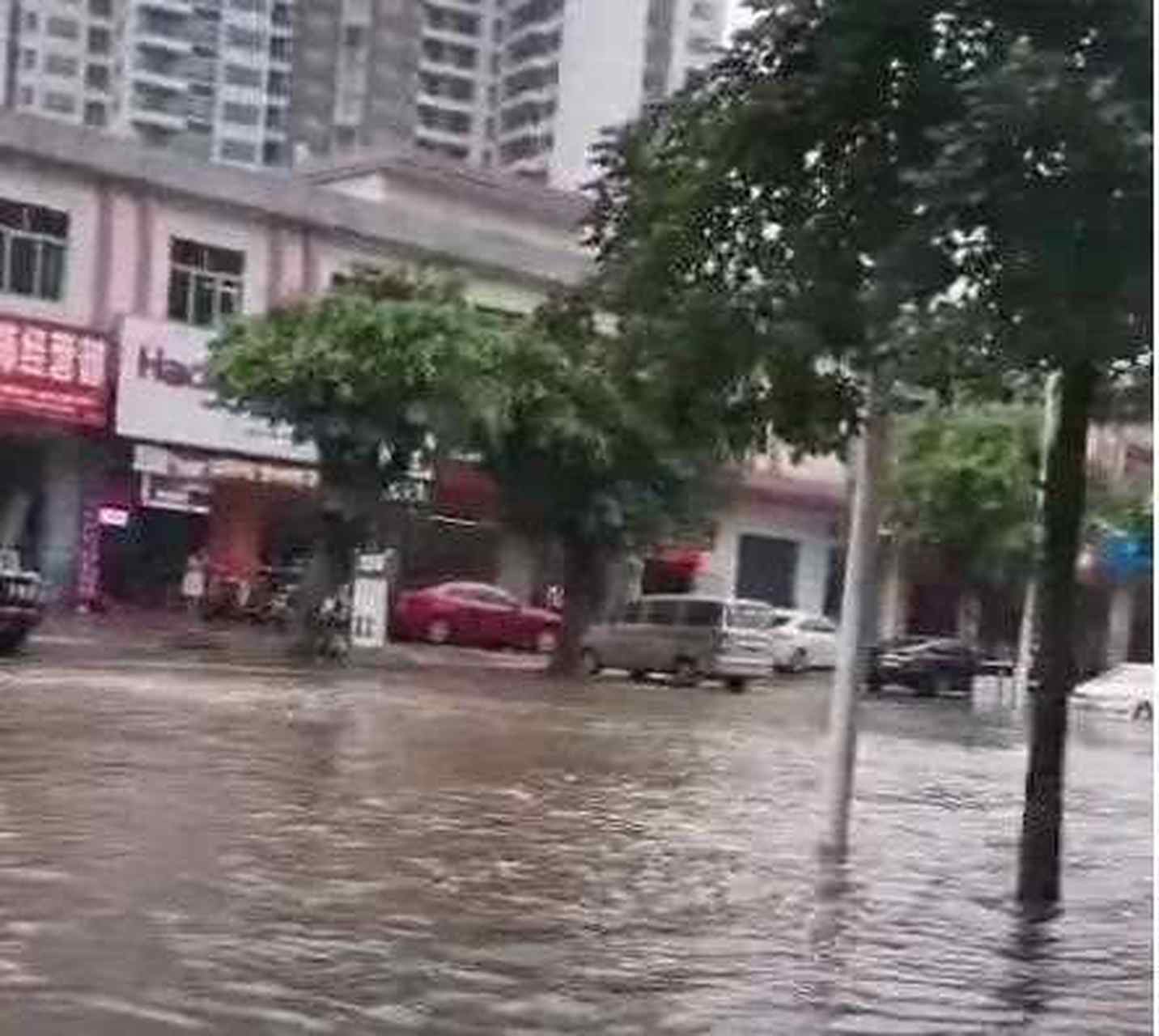 麻章区天气预报
