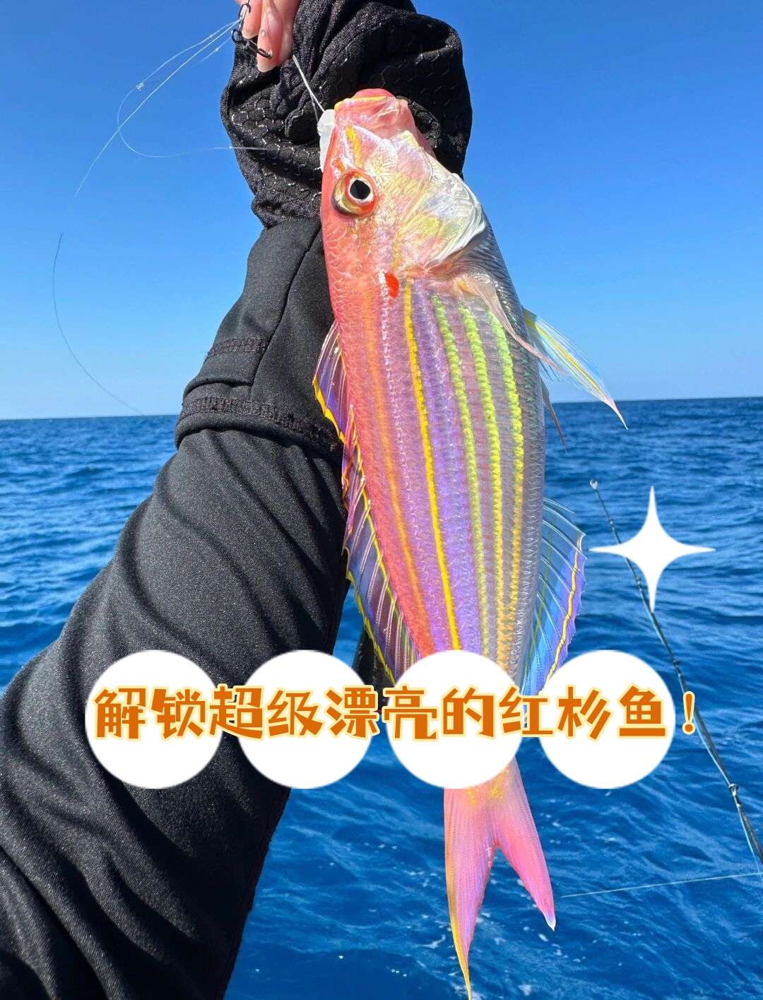 在浩瀚的海洋深处