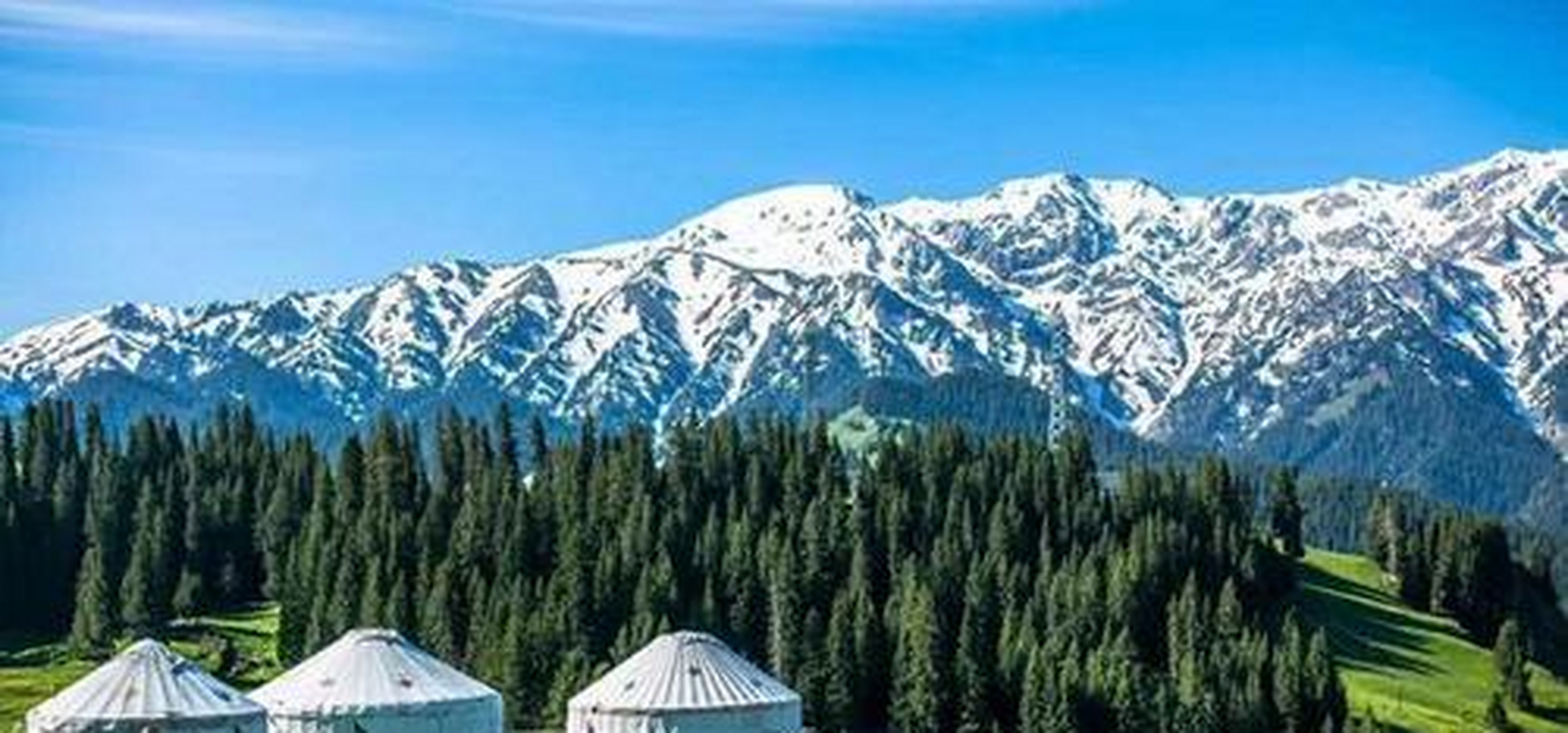 哥老会由内地已经传入新疆颇久,在迪化参加哥老会的陕甘人士有五六千