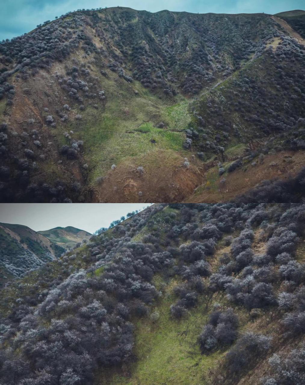 这是朋友昨天拍的新疆伊犁吐尔根杏花沟(图1-2),我的乖乖,这乌漆嘛黑