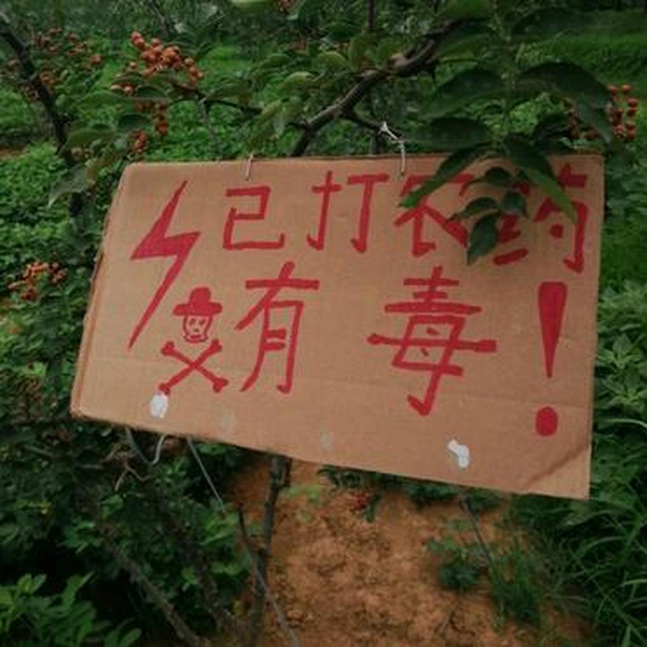 丨搞笑图片丨gif搞笑丨内涵丨神回复 网友:最近总有小偷偷我家花椒,写