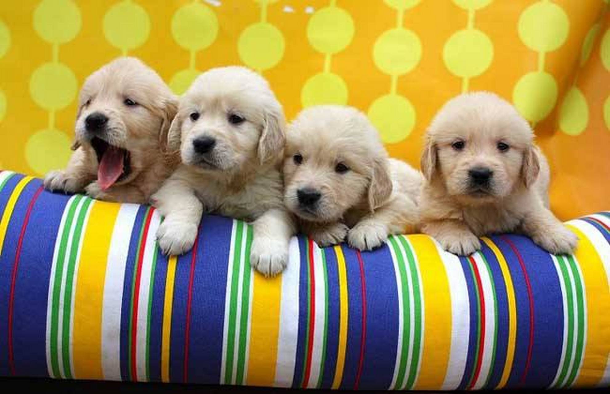 晚上陪5岁外甥在小区玩,我照例坐在石凳玩手机,外甥在一边玩.