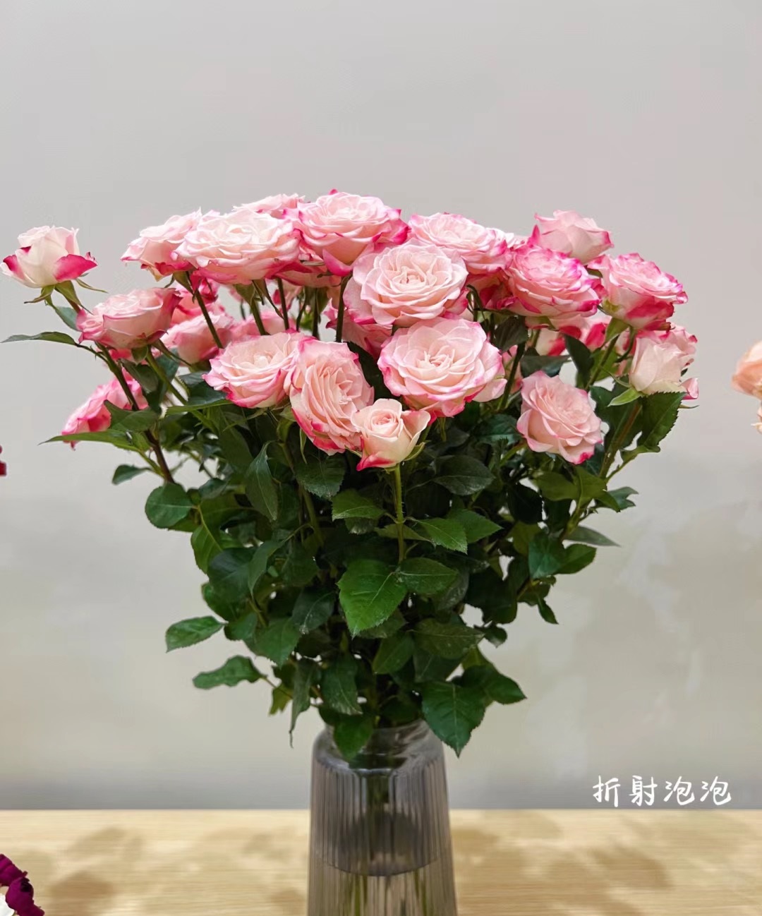 喜欢月季的花友,给你们推荐一款冷门,但很优秀的品种——折射泡泡,小