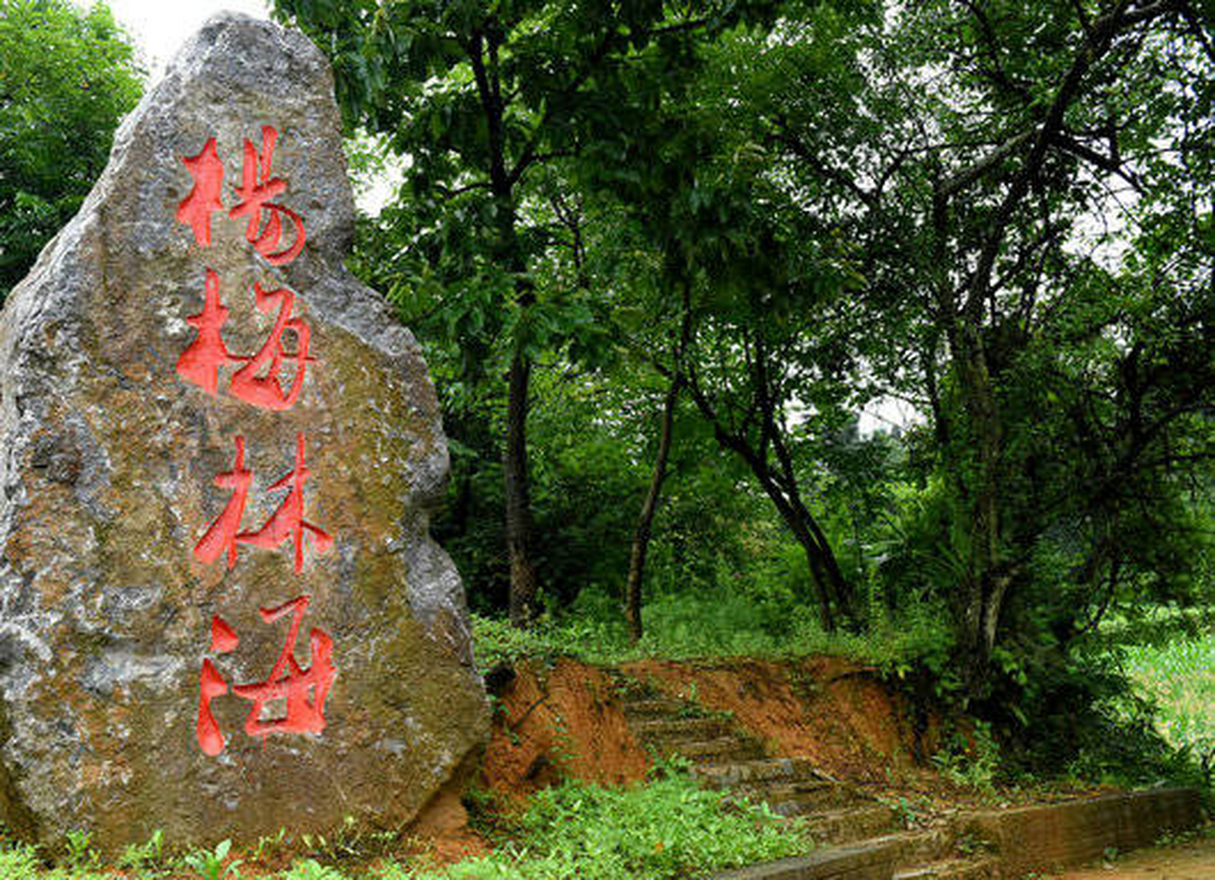 离泸州最近的贵州景点图片